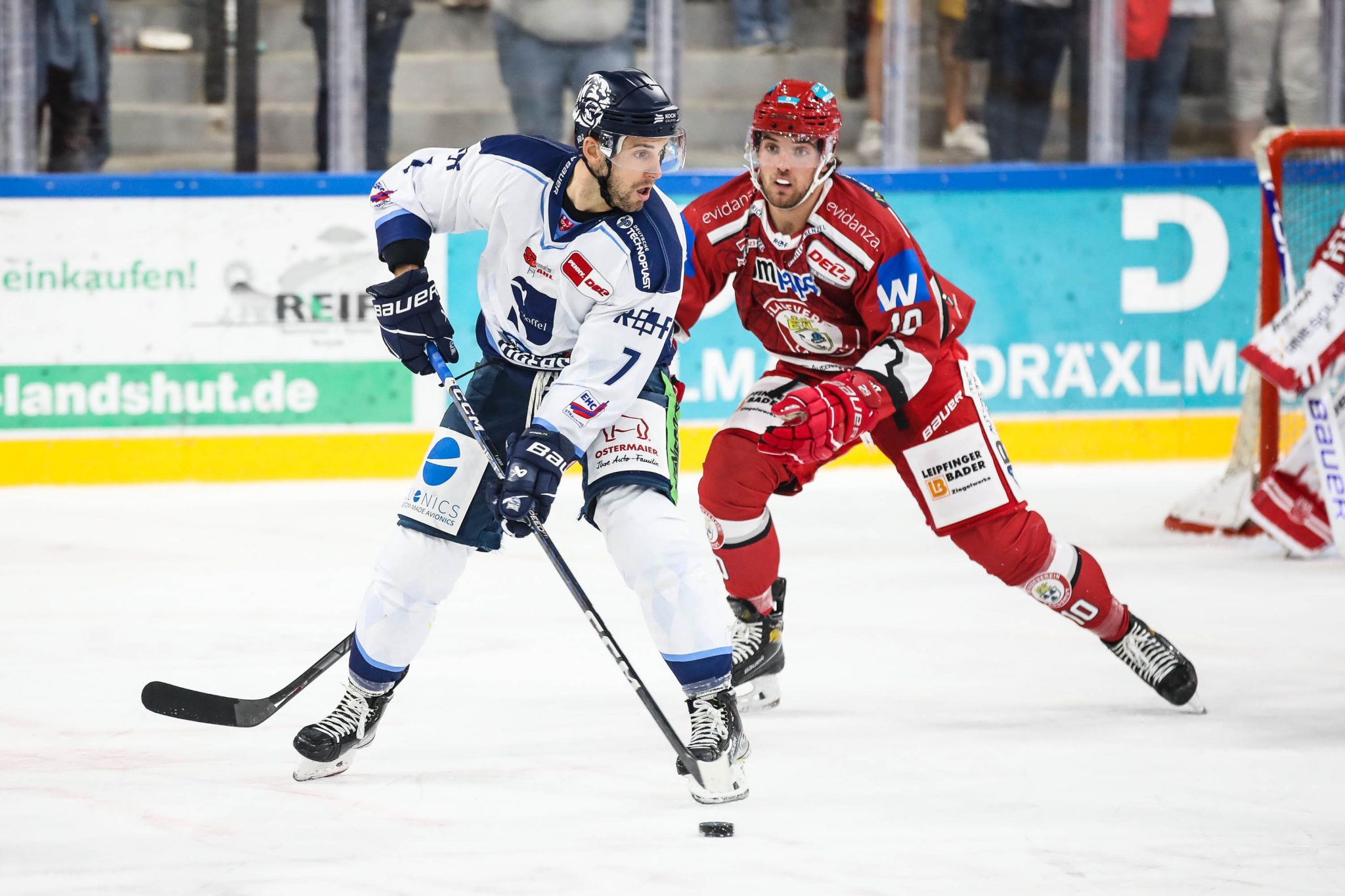 News Straubing Tigers