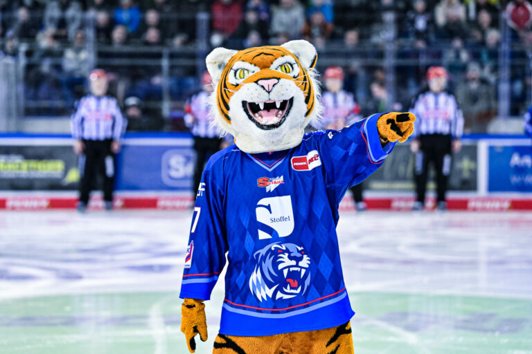 News Straubing Tigers