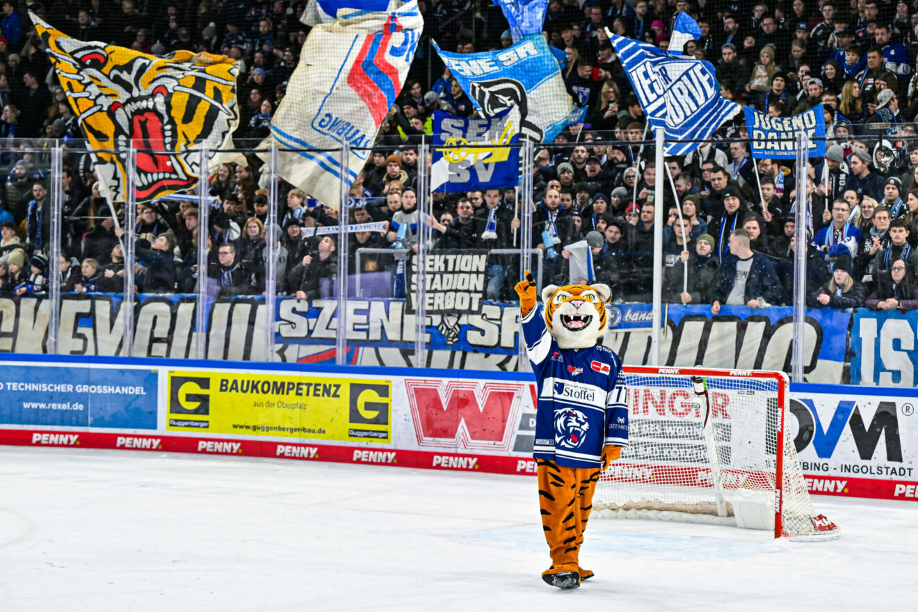 PENNY DEL veröffentlicht PlayoffTermine 2024! Straubing Tigers